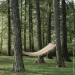Progarden   XXL 200100  -  (5907610282459)