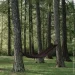 Progarden  &nbsp;XXL 200x100  -  (5907610282466)