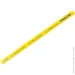 Proline    38022