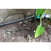 Promaster     "" () MP-