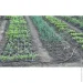 Promaster     "" MP-