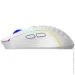  Proove Gaming Buzz white (WMBU00022402)