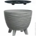 Prosperplast    Furu , 5   (5905197571027)