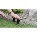  Prosperplast Palisada (IPAK2-R222) (5905197099651)