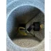 Prosperplast          Poller,  (5905197571911)