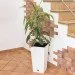 Prosperplast Rato Square 21/49,  (5905197195148)