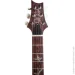  PRS Paul's Guitar 10 Top Yellow Tiger