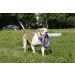   Collar    , 30 (6490)