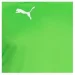  Puma ADDED LONG-SLEEVED GOALKEEPER (701918-43-L)