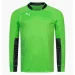  Puma ADDED LONG-SLEEVED GOALKEEPER (701918-43-L)