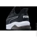  Puma Amplifier (399446-01-41)