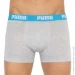   Puma BASIC BOXER 2P (521015001-006-XL)
