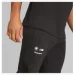   Puma Bmw M Black (538132-01-S)