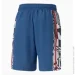  Puma Bmw M Statement 85 Blue (538401-04-XL)
