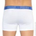   Puma - Bold Stripe Boxer 2-pack M blue/black/white 501001001-010