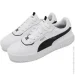  Puma Carina 2.0 Lux (395017-03-39)