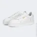  Puma Carina Street (389390-01-37.5)