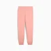   Puma Class Sweatpants Peach (685037-18-XS)