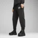   Puma Class Sweatpants Tr Cl (68503701-M)