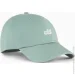  Puma ESS NO. 1 LOGO PATCH BB Cap (025997-04-S)