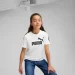   Puma  ESS No. 1 Logo Tee G 68489202 .128 