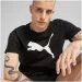   Puma Essential Tee Black (682536-01-M)