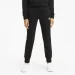   Puma ESSENTIALS WOMEN'S SWEATPANTS (586842-01-XS)