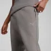   Puma EVOSTRIPE (68461479-M)