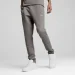   Puma EVOSTRIPE (68461479-M)