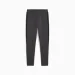   Puma EVOSTRIPE CORE Pants (63153307-XL)