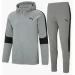   Puma Evostripe Grey (585812-03_585814-03-L)
