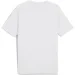 Puma  EVOSTRIPE Tee 68822902 .L 