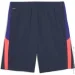 Puma  INDIVIDUALLIGA TRAINING SHORTS 2 (OPEN POCKETS) 65951901 . M 