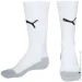  Puma Indoor (746326-04-43-46)