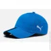  Puma LIGA CAP   OSFA (4060981735038)