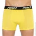  Puma - Logo AOP Boxer 2-pack M yellow/gray 501003001-020