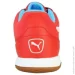 Puma Pressing (107419-06-42)