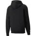  Puma TEAM LETTERMAN HOODIE (534313-01-M)