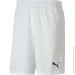 Puma teamGOAL 23 knit Shorts (704262-04-M)