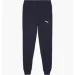   Puma Teamgoal Casuals Blue (658598-06-L)