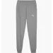   Puma Teamgoal Casuals Grey (658598-33-S)