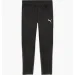   Puma Teamgoal Training Black (658639-03-S)