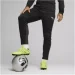   Puma Teamgoal Training Black (658639-03-S)