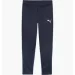   Puma Teamgoal Training Blue (658639-06-XL)