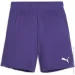 Puma teamGOAL Violet (705753-10-164 CM)