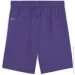 Puma teamGOAL Violet (705753-10-164 CM)