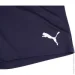 Puma Teamrise Blue (704943-06-164 CM)