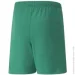 Puma Teamrise Green (704943-05-116 )