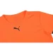   Puma teamRISE Jersey (704932-08-M)