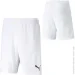 Puma teamRISE Short (704942-03-M) Puma teamRISE Short (704942-03-M)